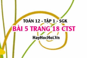 Bài 5 trang 18 Toán 12 tập 1 Chân trời sáng tạo